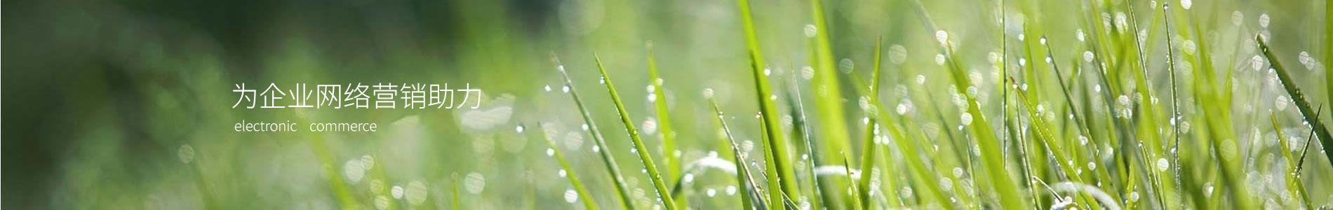 ݽԴ豸޹˾